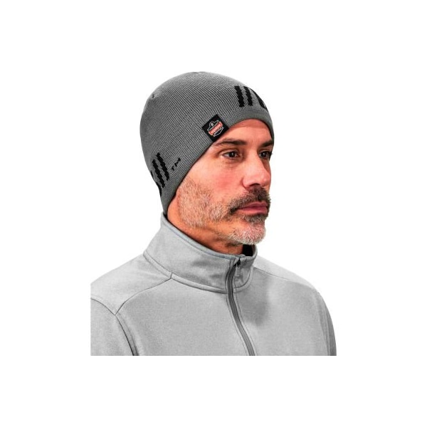 Ergodyne Ergodyne N-Ferno 6819BT Beanie, Be Tenacious, Gray 16809 - main